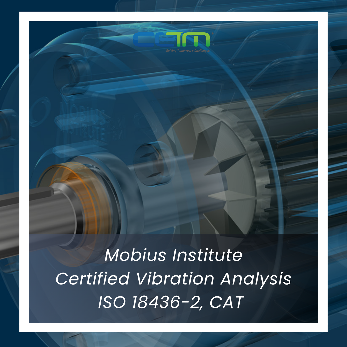 Fluke Certified Vibration Analysis CAT 1 xx