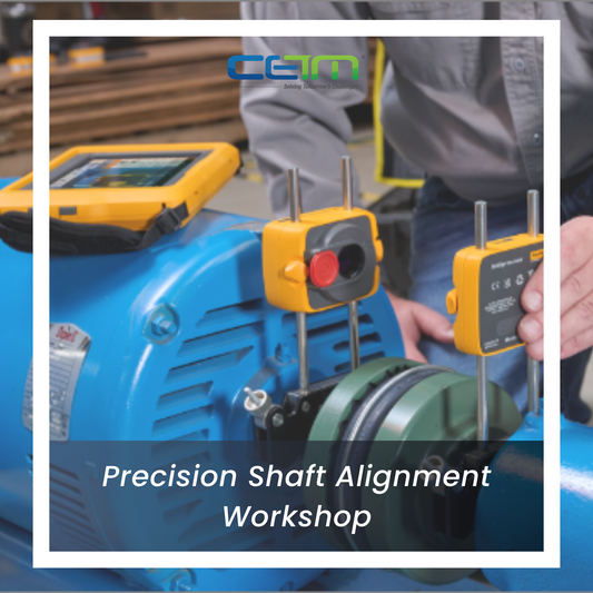 Precision Shaft Alignment Workshop